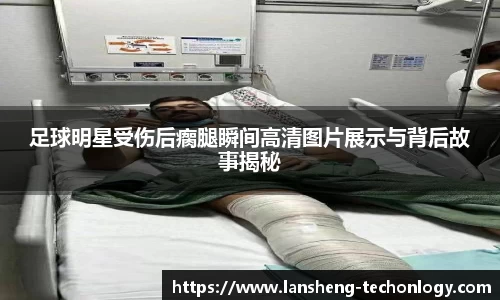 31399金沙娱场城在官网